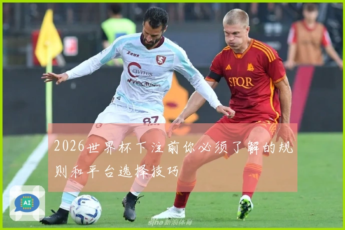 2026世界杯下注前你必须了解的规则和平台选择技巧