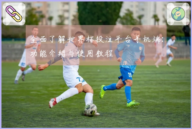 全面了解世界杯投注平台手机端：功能介绍与使用教程