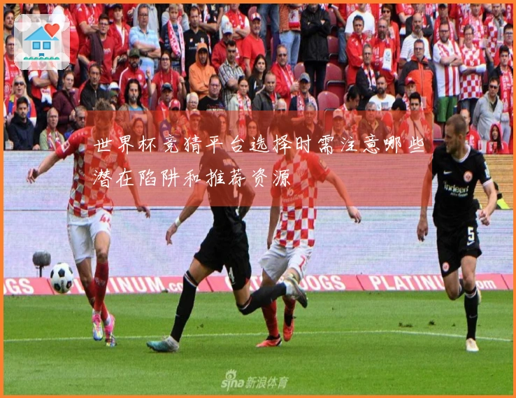 世界杯竞猜平台选择时需注意哪些潜在陷阱和推荐资源
