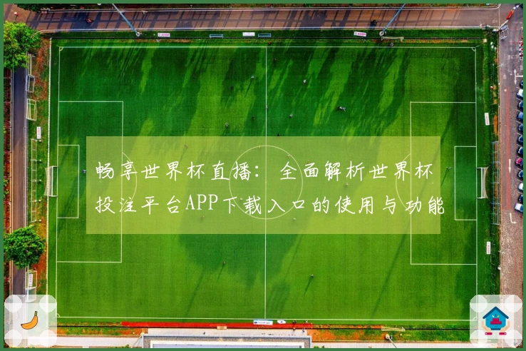 畅享世界杯直播：全面解析世界杯投注平台APP下载入口的使用与功能