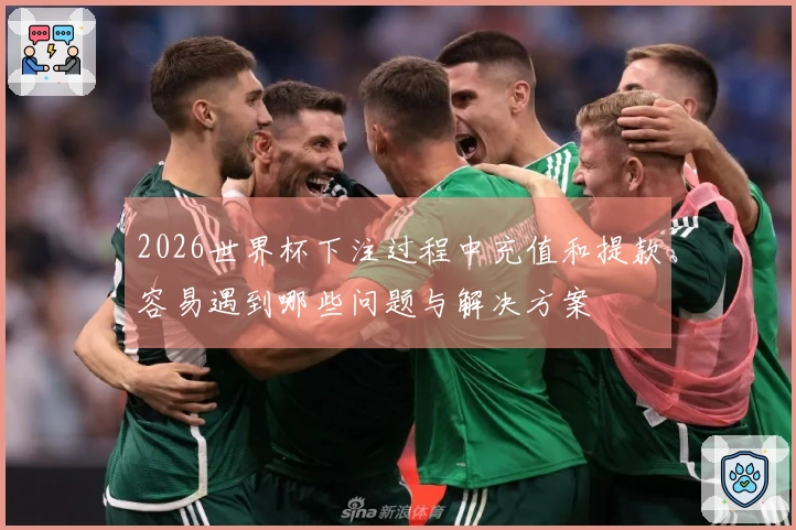 2026世界杯下注过程中充值和提款容易遇到哪些问题与解决方案
