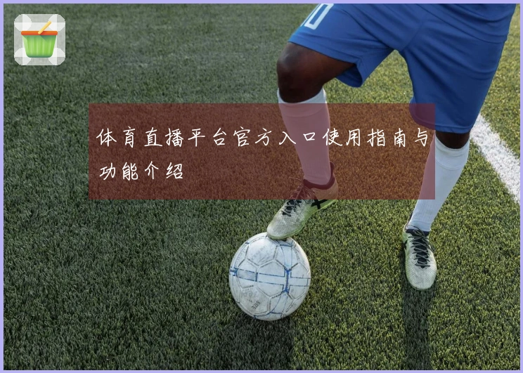 体育直播平台官方入口使用指南与功能介绍